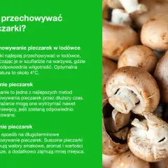Jak przechowywać pieczarki? W lodówce, przez mrożenie lub suszenie. Świeże pieczarki w szufladzie na warzywa, mrożone do 12 miesięcy, suszone zachowują smak i aromat.