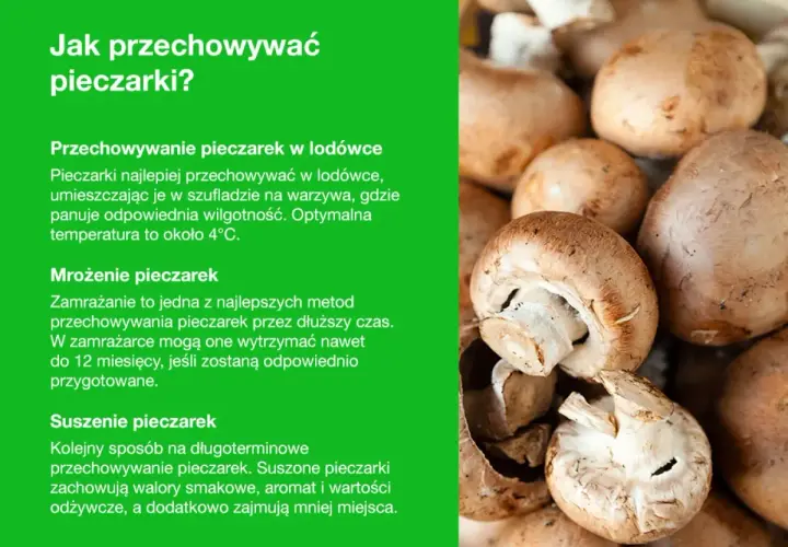 Jak przechowywać pieczarki? W lodówce, przez mrożenie lub suszenie. Świeże pieczarki w szufladzie na warzywa, mrożone do 12 miesięcy, suszone zachowują smak i aromat.