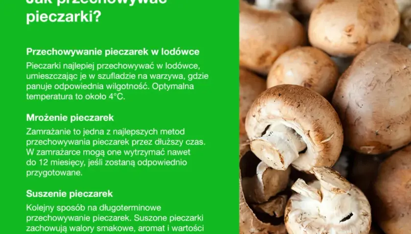 Jak przechowywać pieczarki? W lodówce, przez mrożenie lub suszenie. Świeże pieczarki w szufladzie na warzywa, mrożone do 12 miesięcy, suszone zachowują smak i aromat.